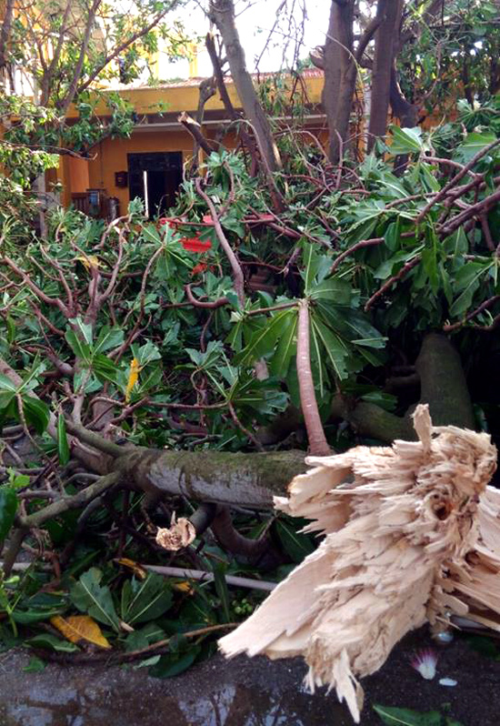 Đảo Trường Sa ngổn ngang sau bão Tembin